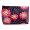 ANNABEL TRENDS -  Large Cosmetic Bag - DAISY DOT