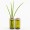 SIDE by SIDE Vase & Jar -  Glass green, 2 part lid oak
