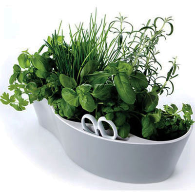 Herb Tray