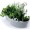 RoyalVKB Herb Garden with scissors, colour GREY (herbs not included)