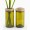 SIDE by SIDE Vase & Jar -  Glass green, 2 part lid oak