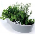 RoyalVKB Herb Garden with scissors, colour GREY (herbs not included)