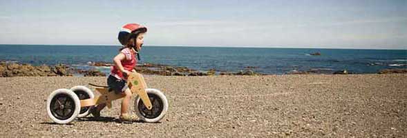 wishbone-bike-img.jpg