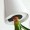 BOSKKE Sky Planter Ceramic - Detail