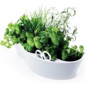ROYAL VKB | Herb Garden | White