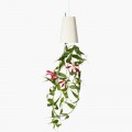 BOSKKE | Sky Planter Hanging Garden Recycled | Small