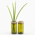 SIDE by SIDE Vase & Jar -  Glass green, 2 part lid oak